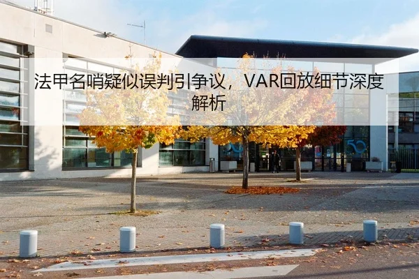 法甲名哨疑似误判引争议，VAR回放细节深度解析